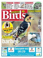 Cage & Aviary Birds